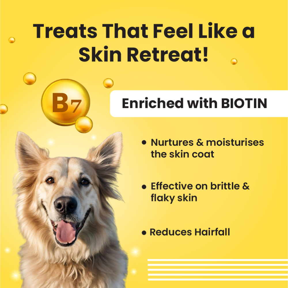 Bark Out Loud Skin & Coat Sardine Oil for Dogs and Cats image 2