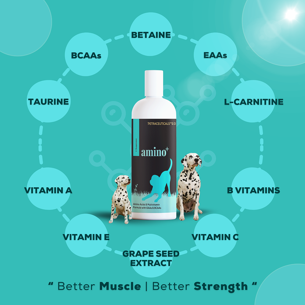 Venttura Amino Plus Syrup for Dogs image 2