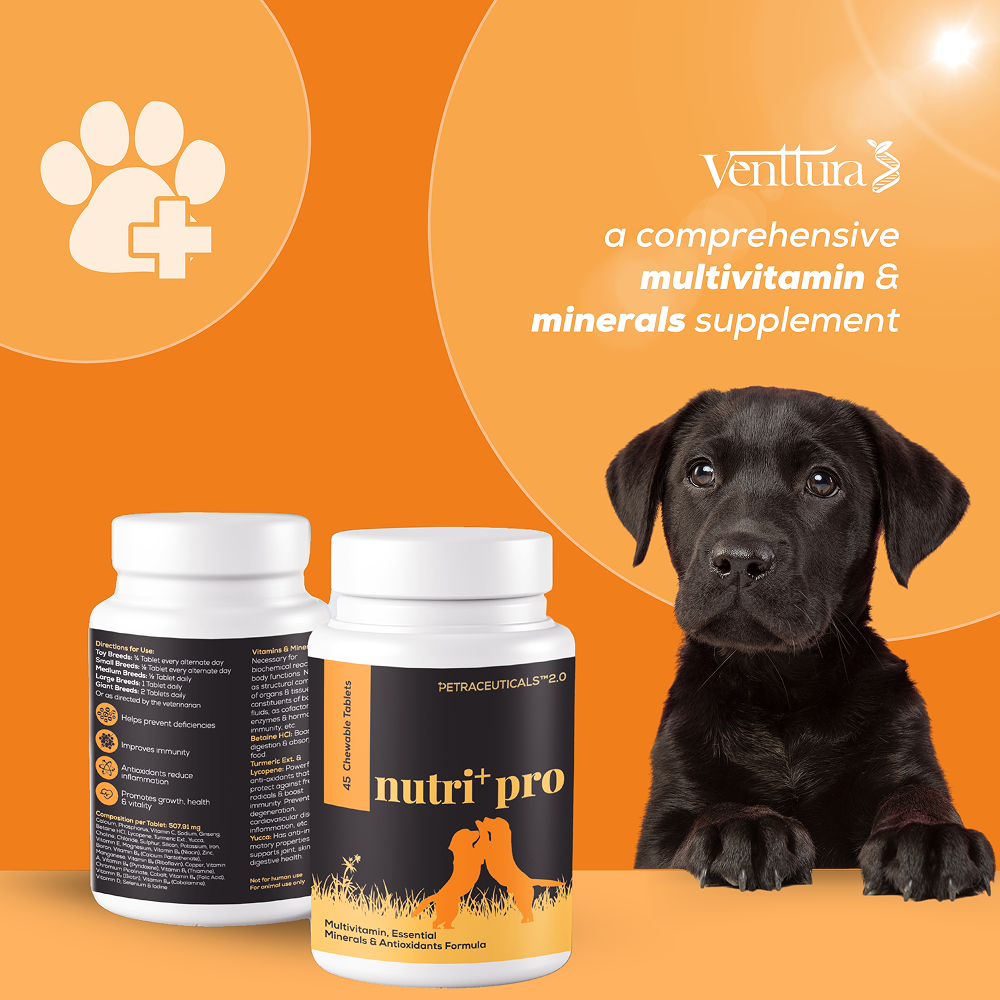 Venttura Nutri Plus Pro Multi Vitamin Chewable Tablets for Dogs image 7