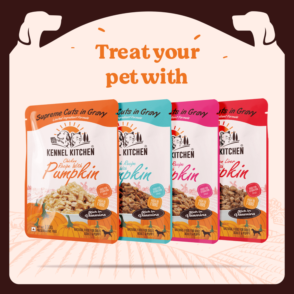 Kennel Kitchen Supreme Cuts in Gravy Variety Pack Dog Wet Food (All Life Stage) image 3