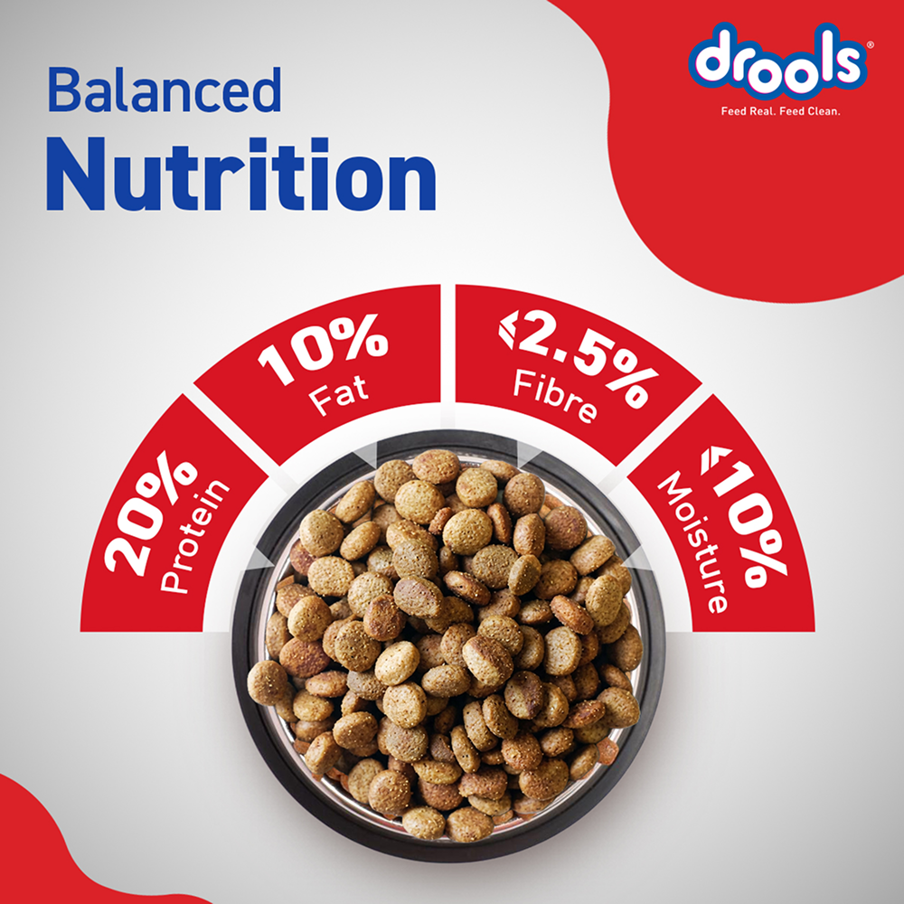 Drools Optimum Performance Adult Dog Dry Food image 8