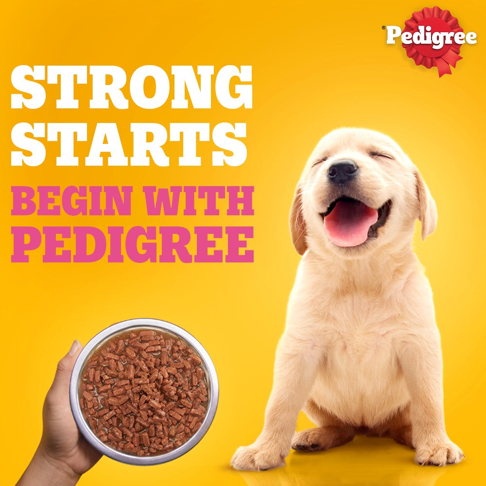 Pedigree Chicken and Liver Chunks in Gravy Pouch Puppy Dog Wet Food (130g) image 5