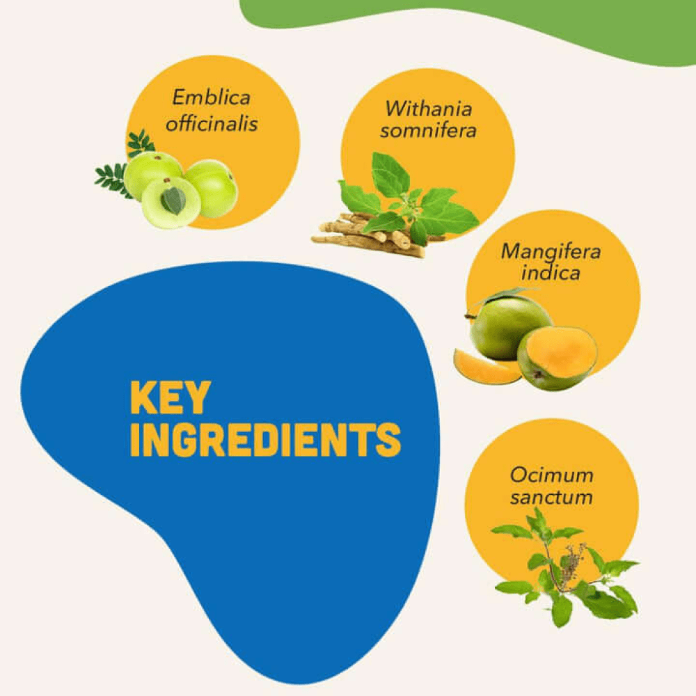 Natural Remedies Immunities Bites for Dogs image 3
