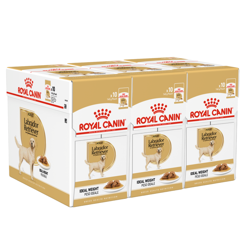 Royal Canin Chunks In Gravy Labrador Retriever Adult Dog Wet Food image 8