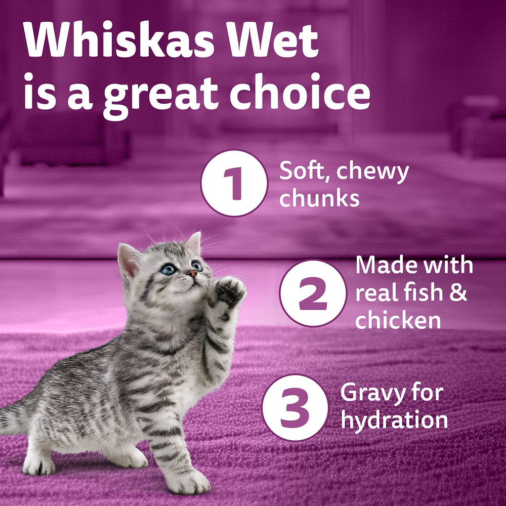 Whiskas Chicken with Salmon in Jelly Kitten (2-12 Months) Cat Wet Food image 8