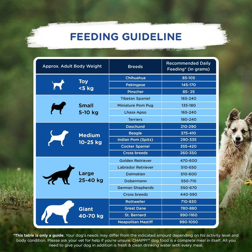 Chappi Chicken & Rice Adult Dog Dry Food image 4