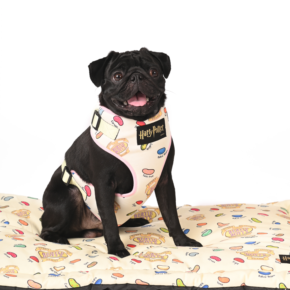 Harry Potter Every Flavour Bean Harness for Dogs image 2