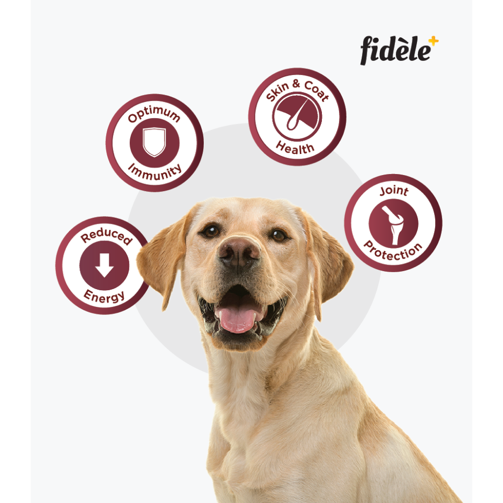 Fidele Plus Adult Light & Senior Dog Dry Food image 3