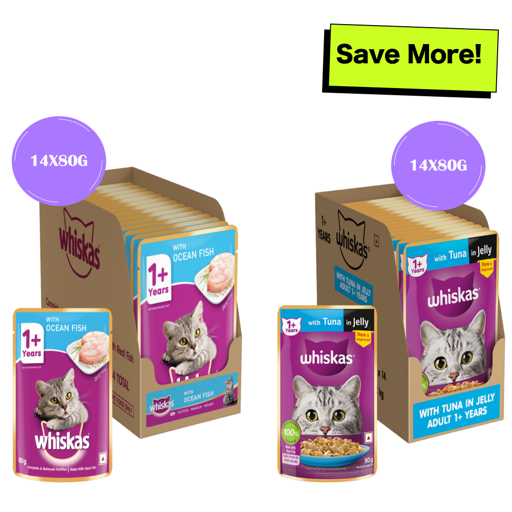Whiskas Tuna in Jelly Meal and Ocean Fish Adult Cat Wet Food Combo image 1