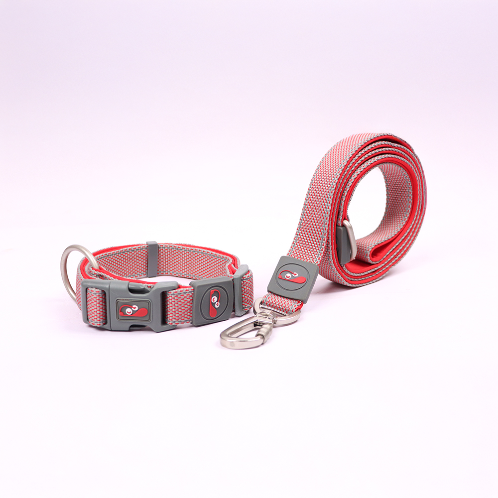 Skatrs Leash for Dogs (Red) image 3