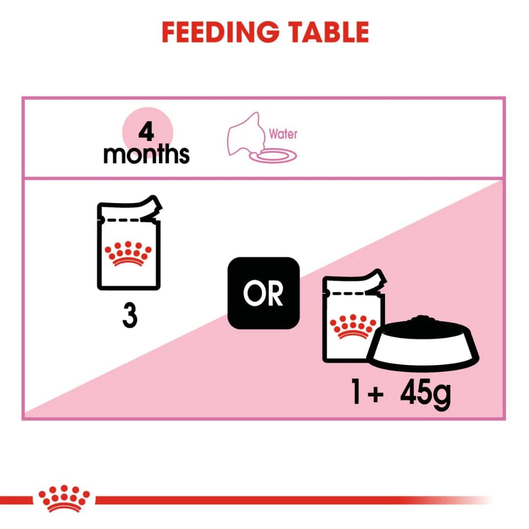 Royal Canin Kitten Jelly and Kitten Loaf Cat Wet Food Combo image 5