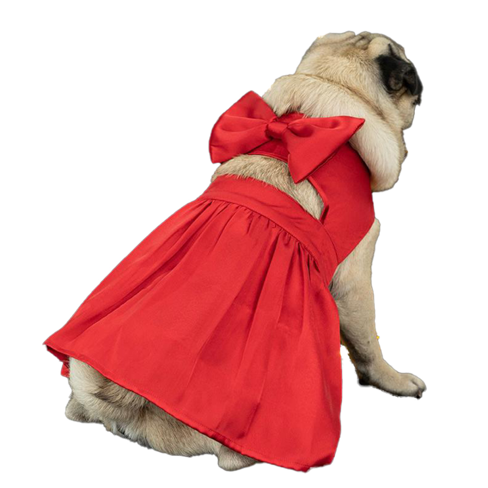 Dogobow Little Dress for Cats and Dogs (Red) image 5