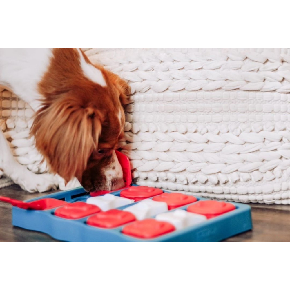 Outward Hound Nina Ottosson Brick Game for Dogs (Blue Level 2 Intermediate) | For Medium Chewers image 8