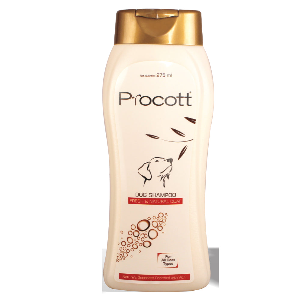 Intas Procott Shampoo
