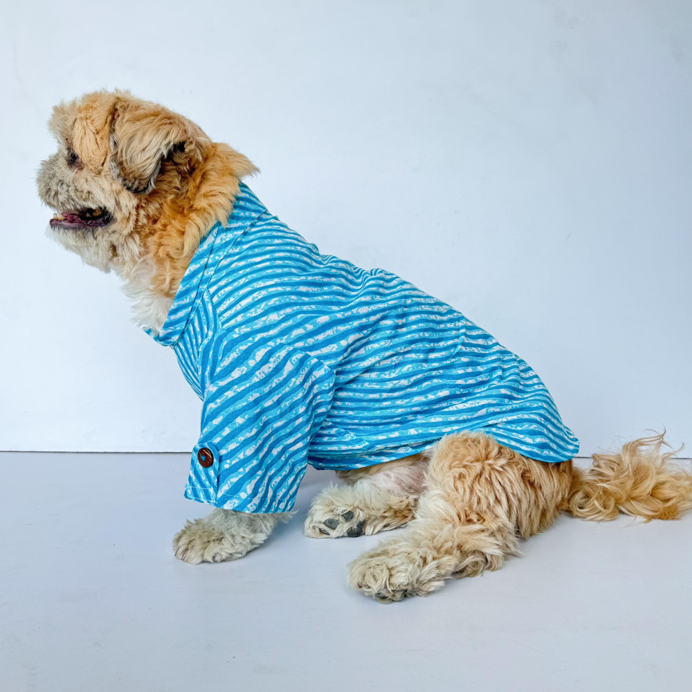 Pawgypets Lehriya Kurta for Dogs and Cats (Blue) image 3