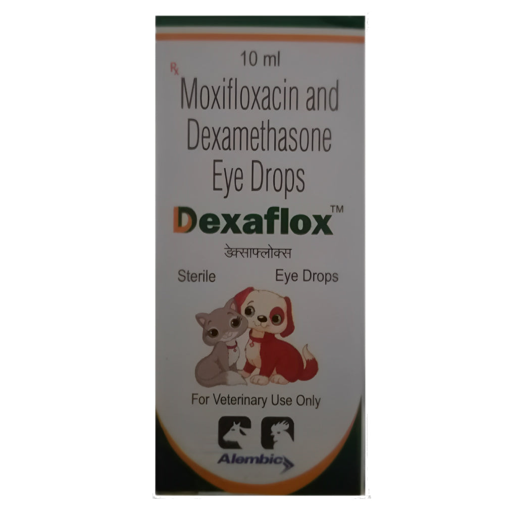 Alembic Dexaflox Eye Drops (Moxifloxacin & Dexamethasone) for Dogs and Cats image 2
