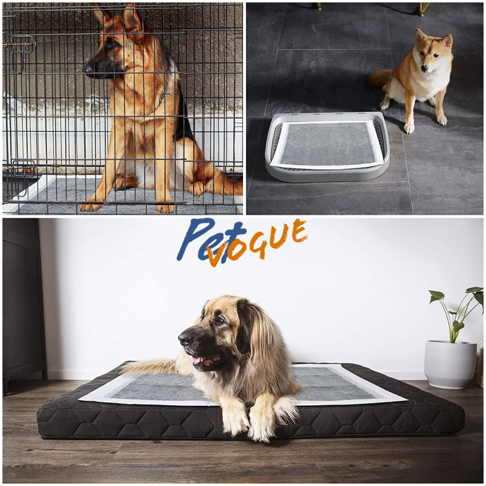 Pet Vogue Charcoal Pee Pads for Dogs (60x60cm) image 5
