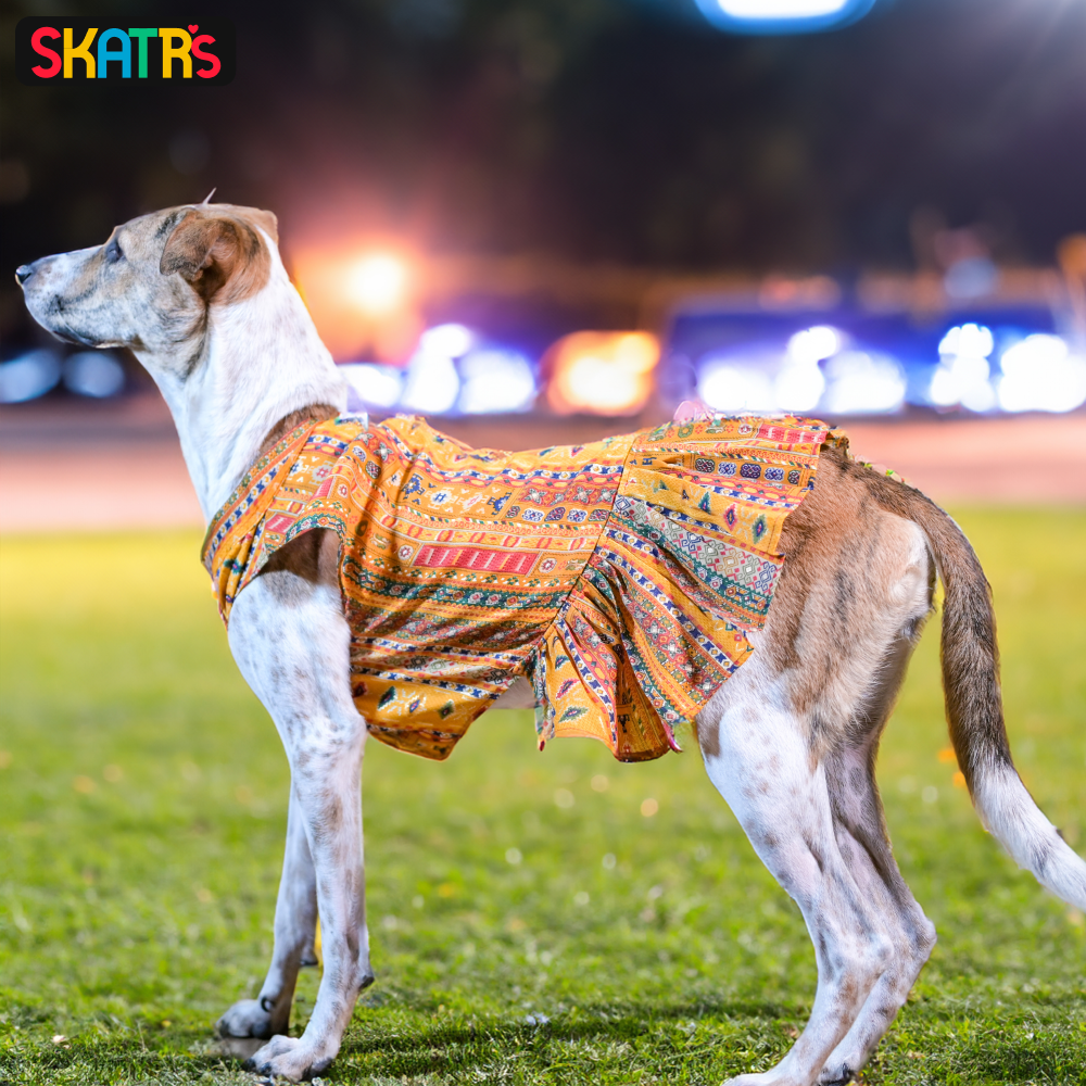Skatrs Cotton Printed Dress for Dogs and Cats (Yellow) image 4