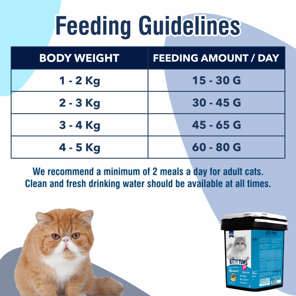 Kitty Yums Ocean Fish Persian Cat Dry Food image 9