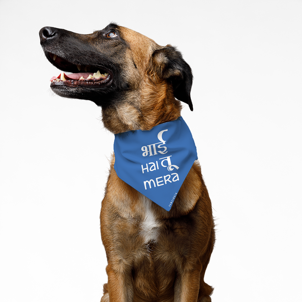 Pawsindia Bhai Hai Tu Mera Pet Bandana for Dogs and Cats