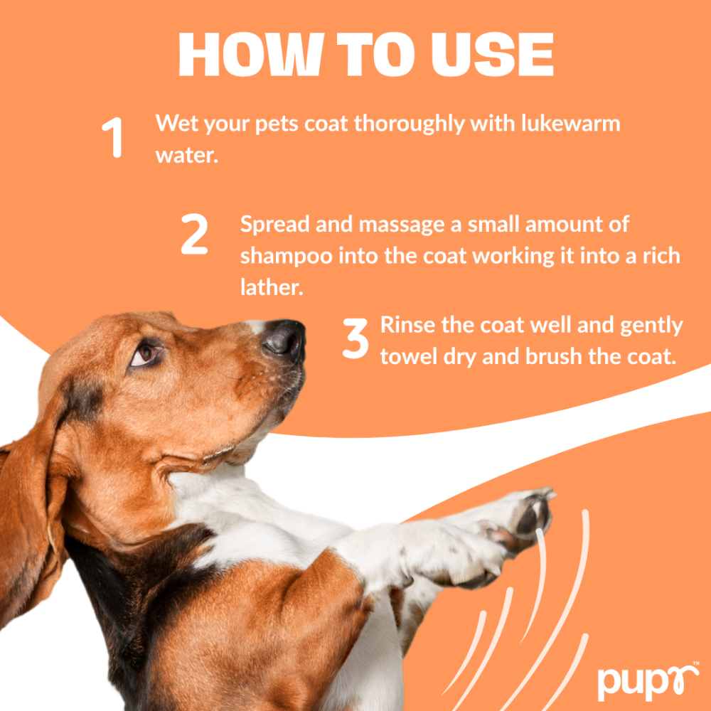 Pupr Deep Cleansing Strawberry Flavoured Shampoo for Dogs image 7