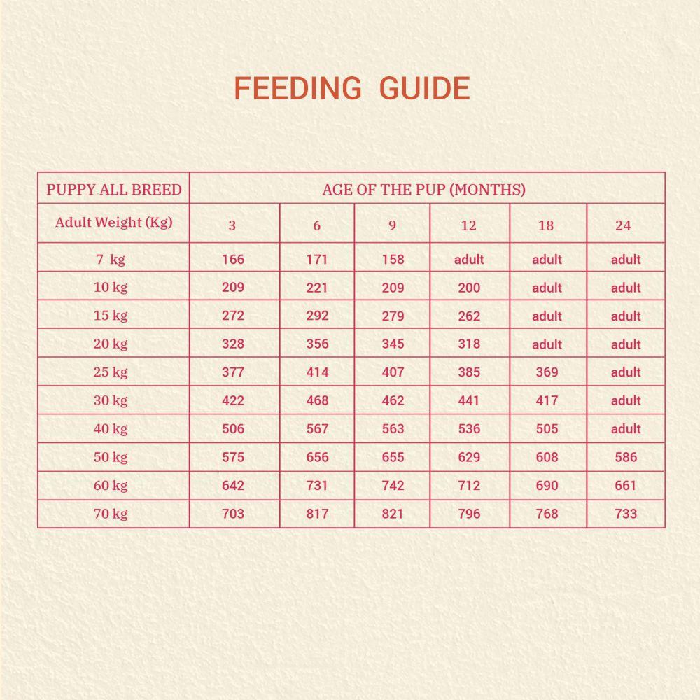 Bruno's Wild Essentials Lamby Feast Puppy Dry Food image 6
