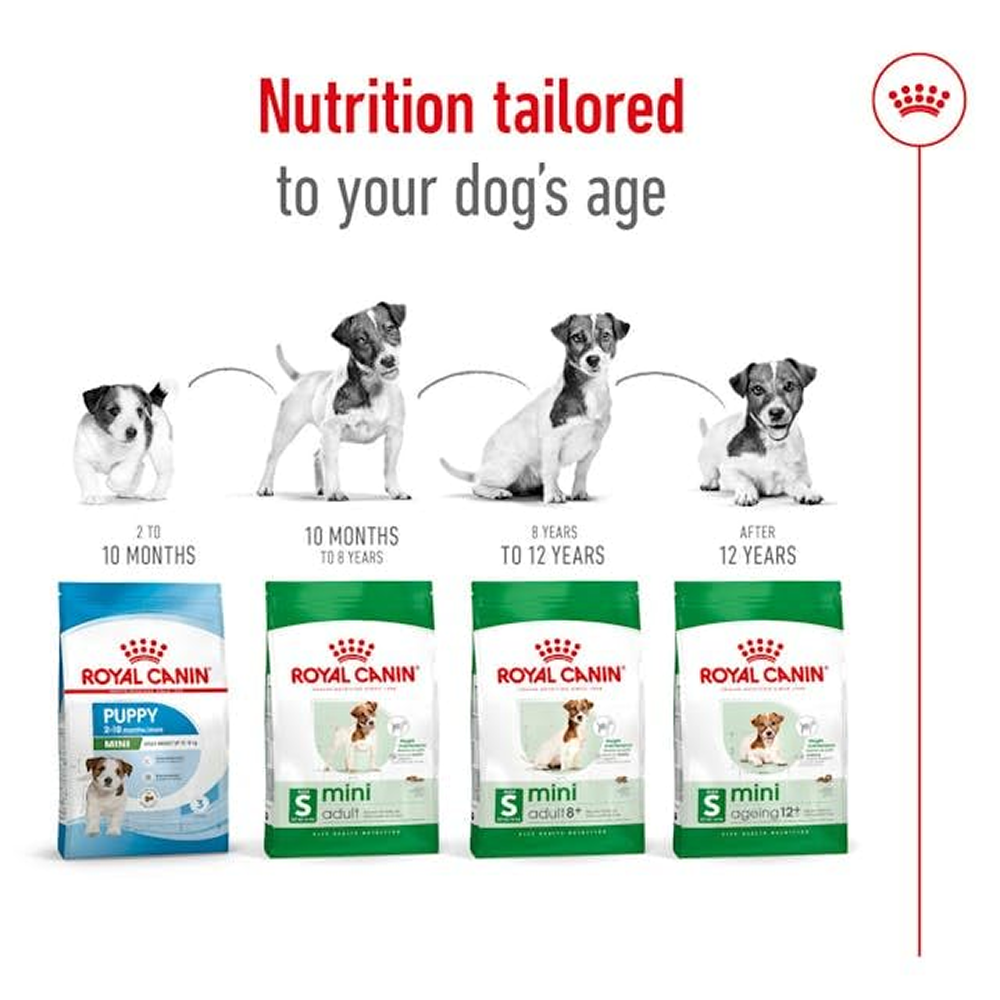 Royal Canin Mini Adult Dog Dry Food with 8+ Years of age image 6