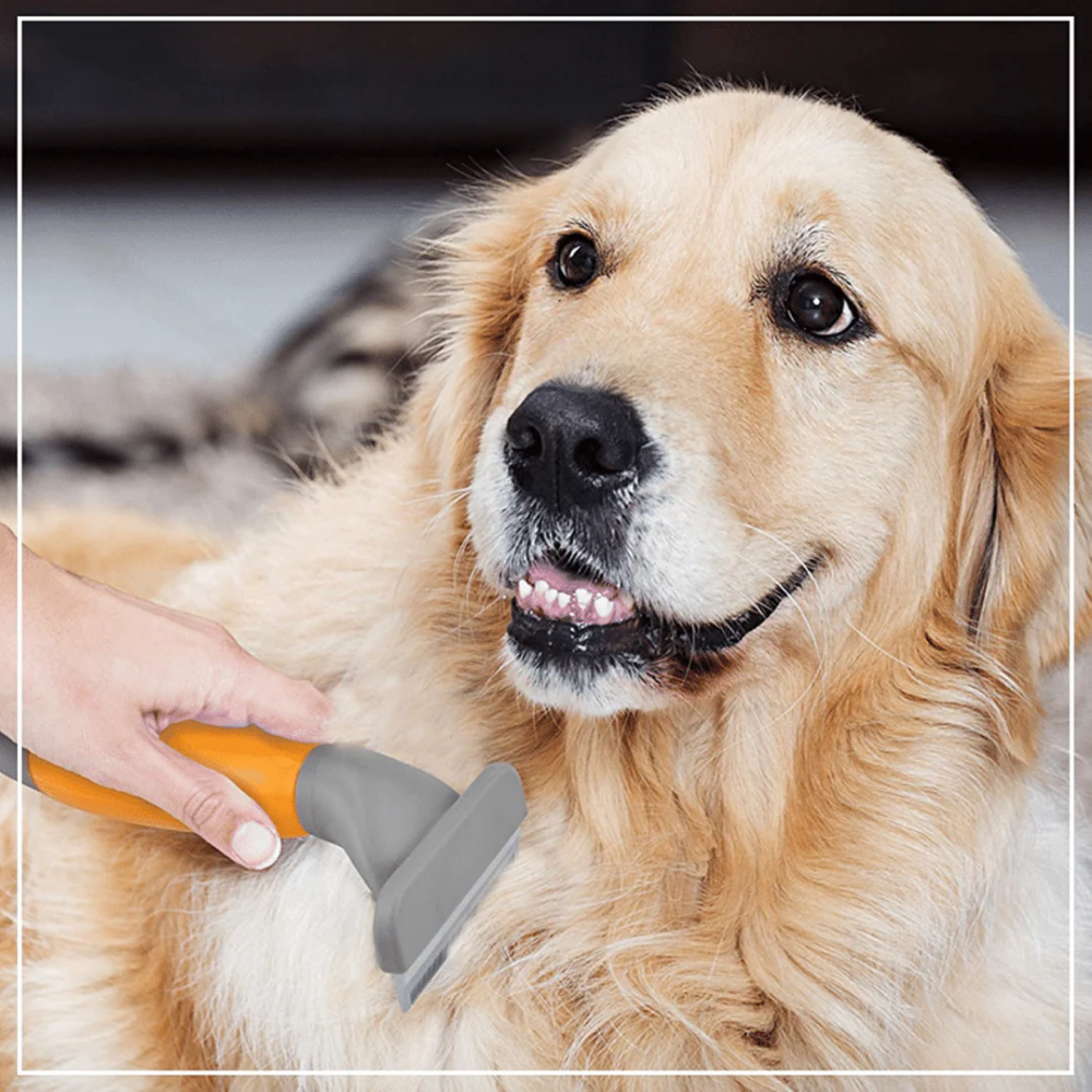 Wahl Deshedder for Cats and Dogs (16cm) image 6
