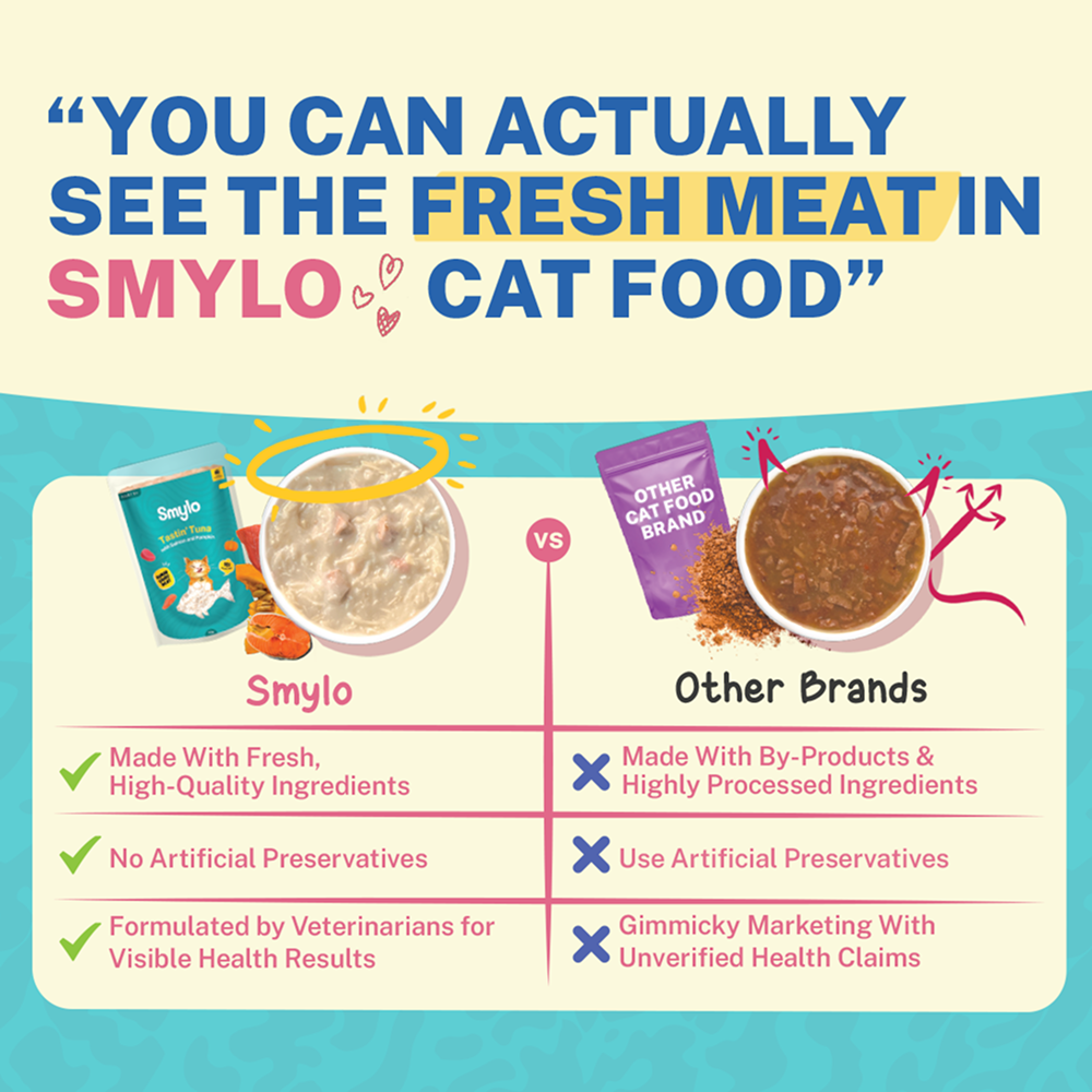 Smylo Adult Tuna Salmon & Pumpkin, Fresh & No-Preservative Wet Cat Food image 4