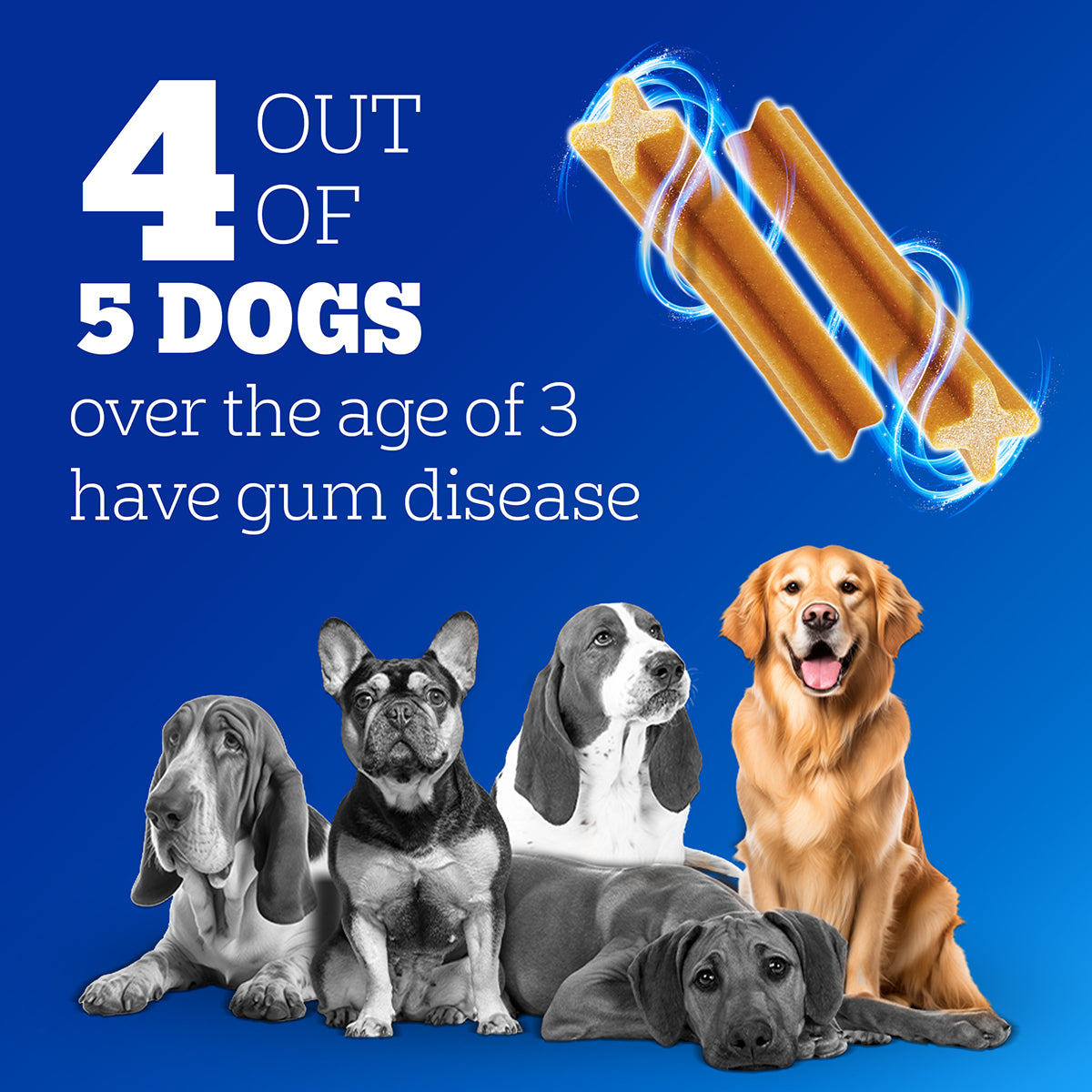 Pedigree Dentastix Oral Care for Adult (Large Breed of 25 kg+) Dog Treats image 5