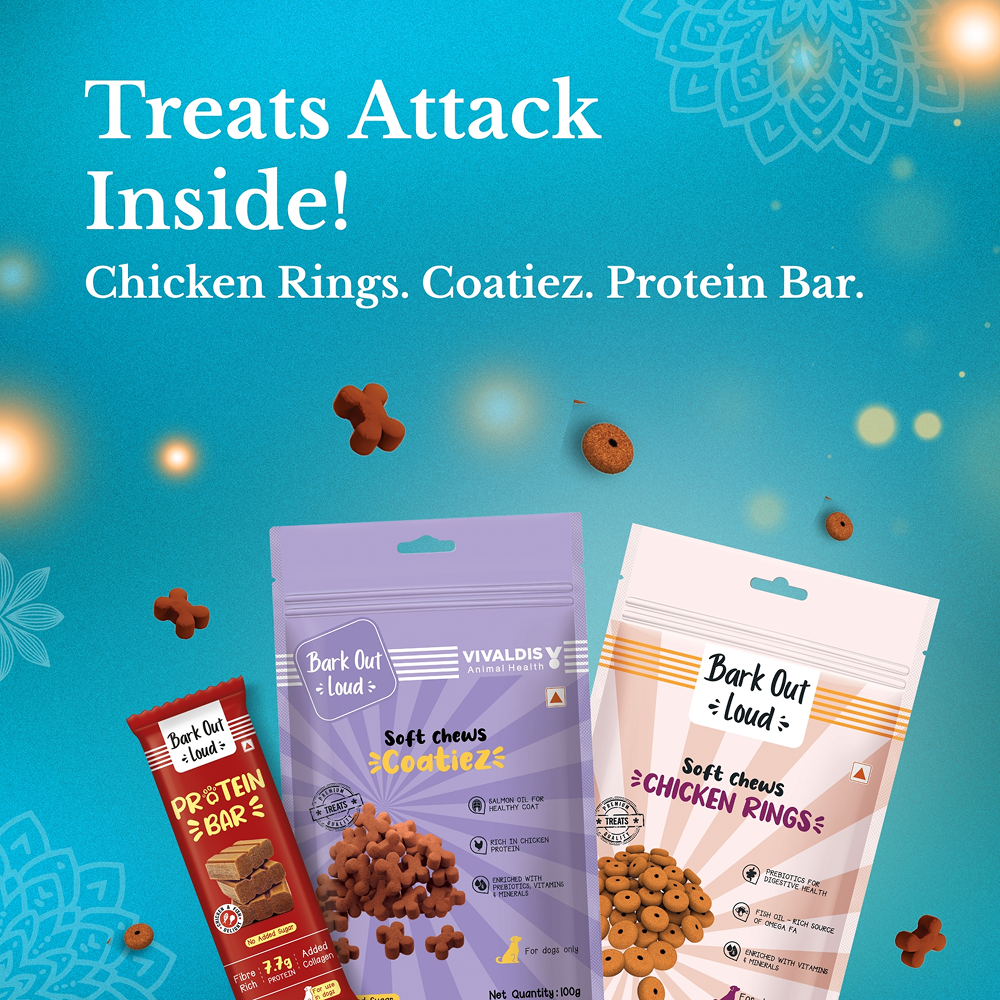Bark Out Loud Festive Gift Box for Dogs image 3