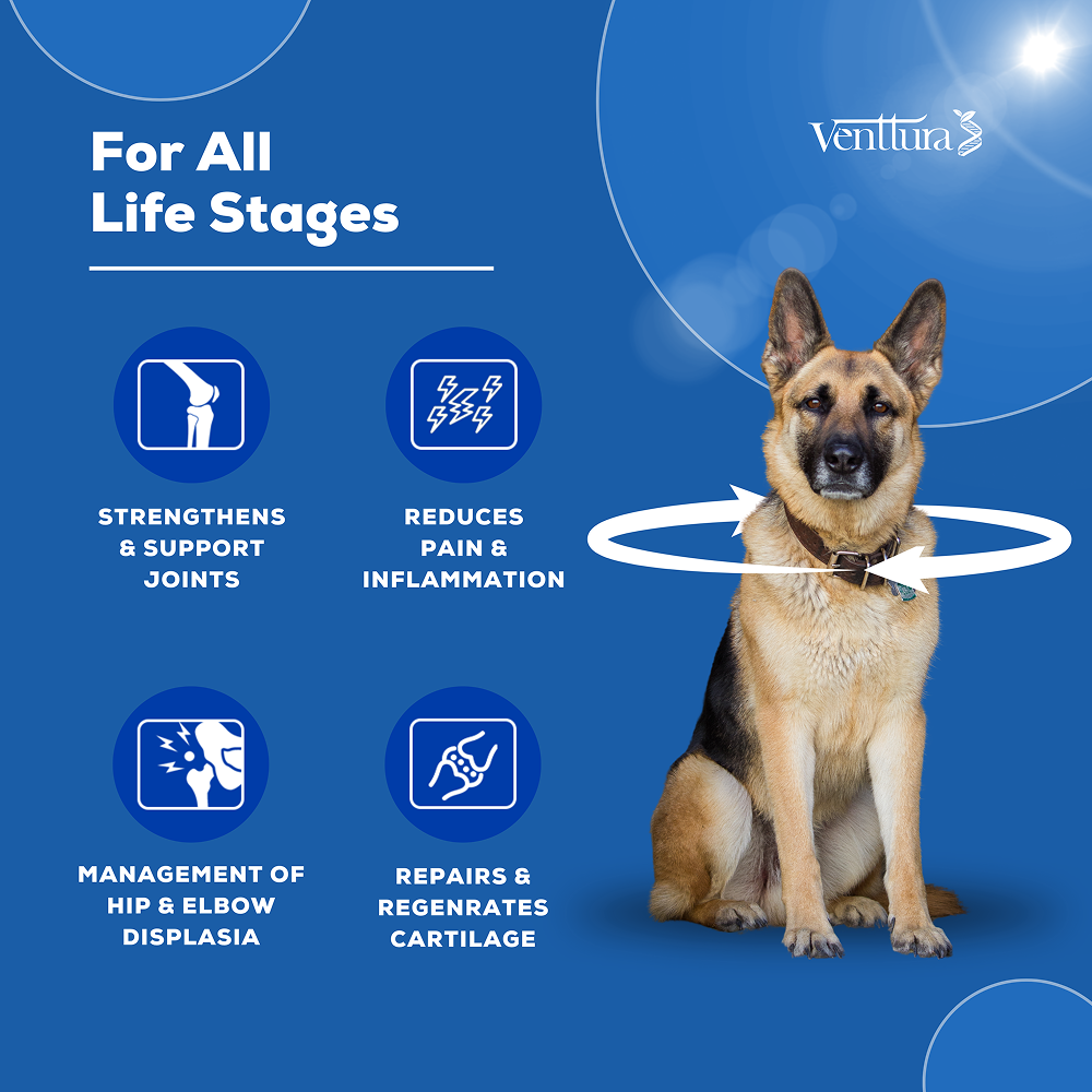 Venttura Flexi Plus Hip and Joint Chewable Tablets for Dogs image 4