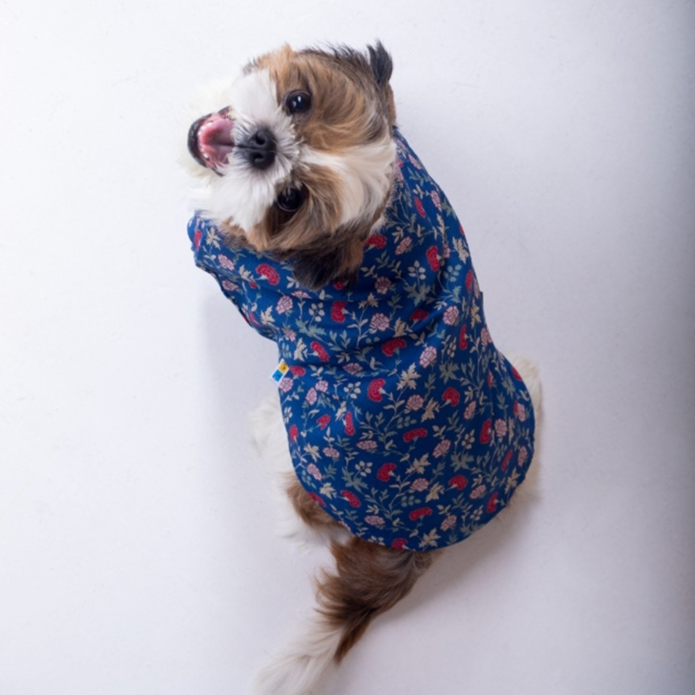 15 Furries Bageecha Kurta for Dogs image 5