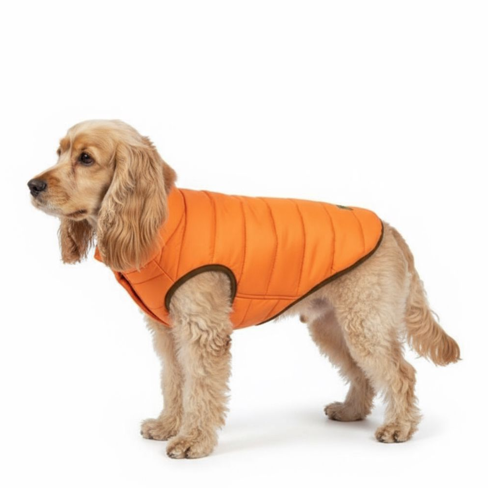 Woofiezz Warm & Comfortable Winter Jackets for Dogs and Cats (Orange/Olive Green)