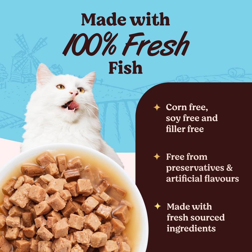 Kennel Kitchen Fish Chunks in Gravy Kitten and Adult Cat Wet Food (All Life Stage) image 2