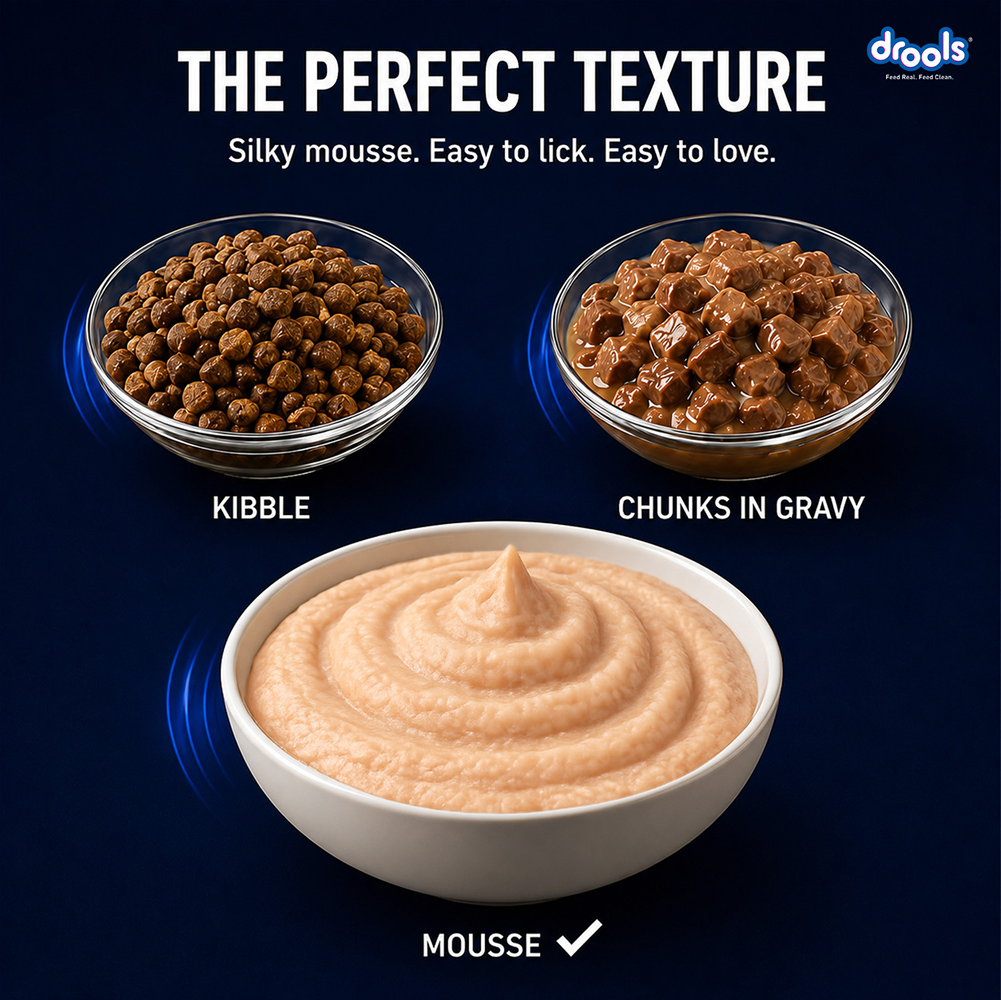 Drools Chicken Mousse Kitten Cat Wet Food image 5