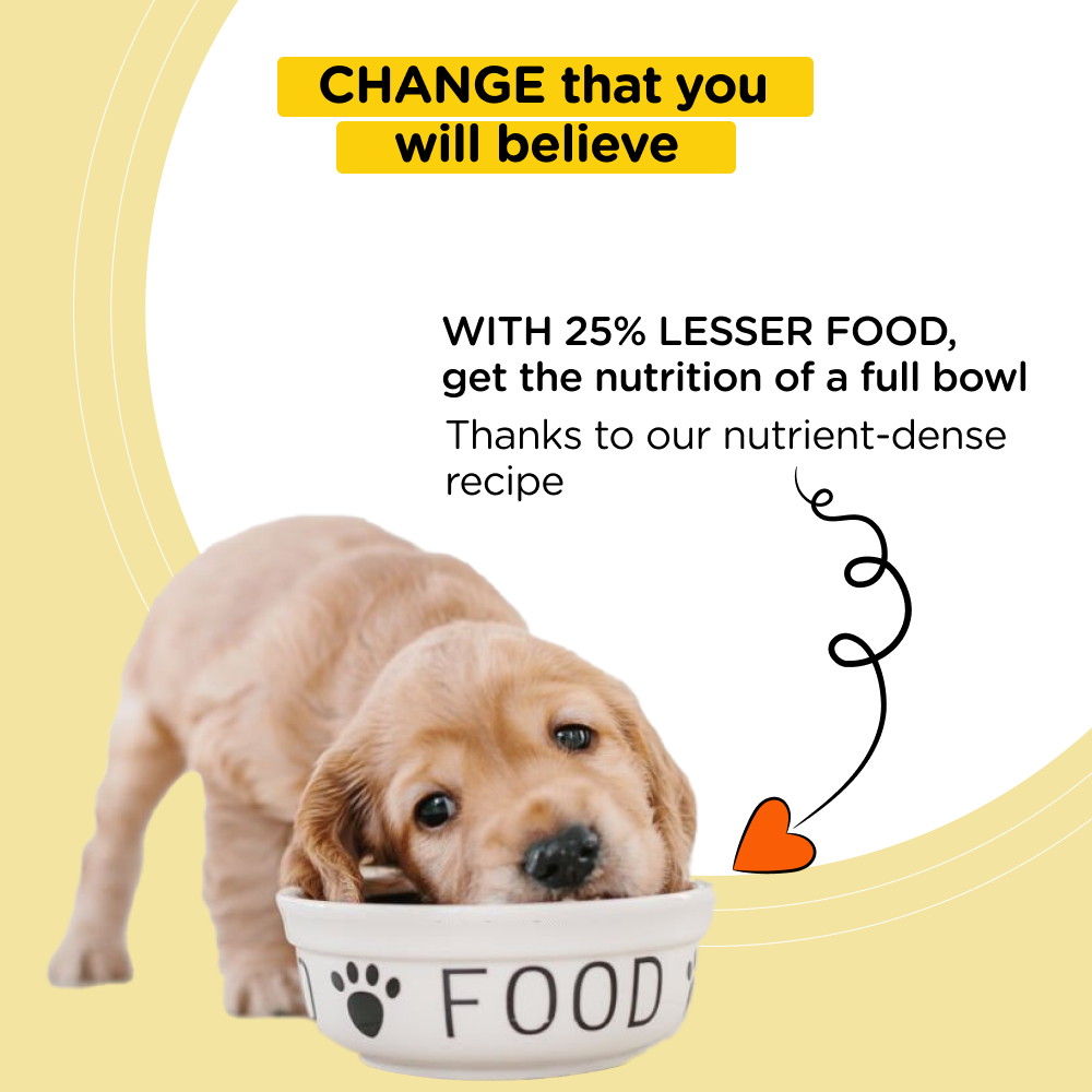 Henlo Baked Adult Dry Food and Royal Canin Chunks In Gravy Labrador Retriever Adult Wet Dog Food Combo image 6