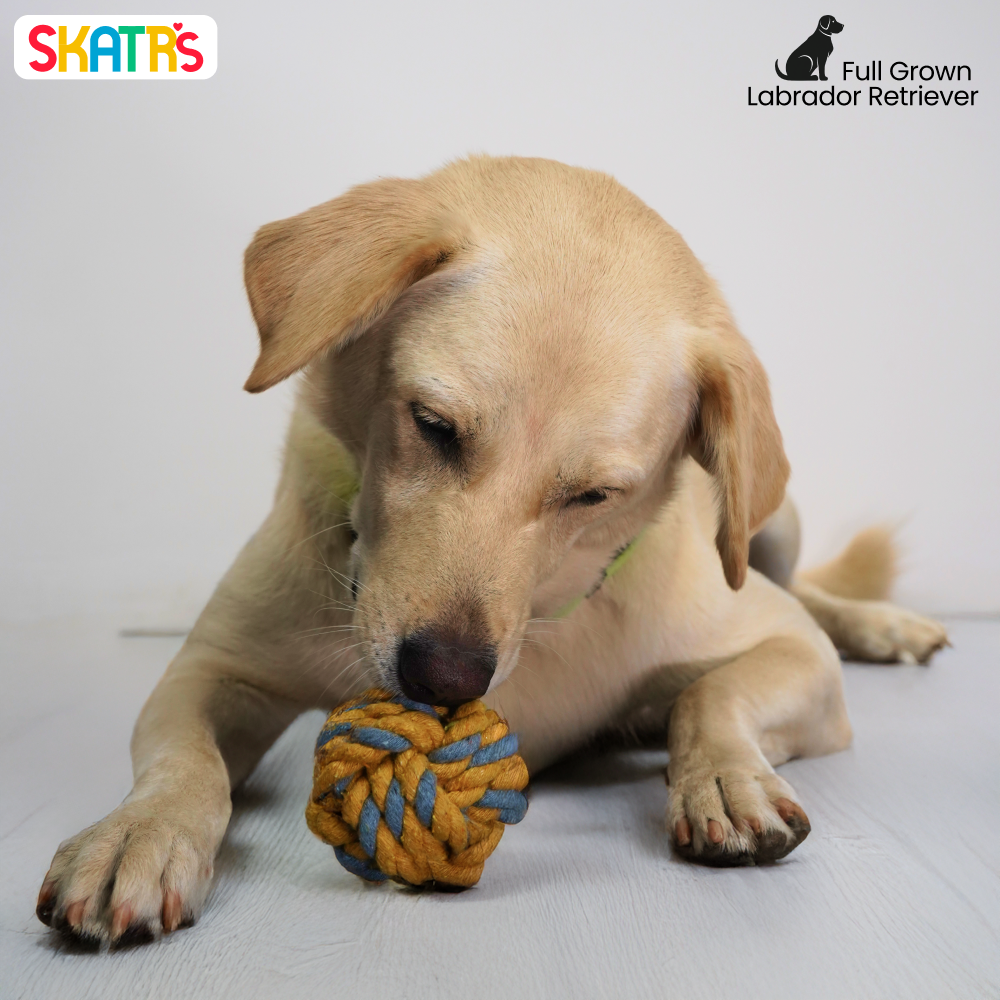 Skatrs Ball Shaped Twisted Rope Chew Toy for Dogs and Cats (Yellow/Grey) image 4