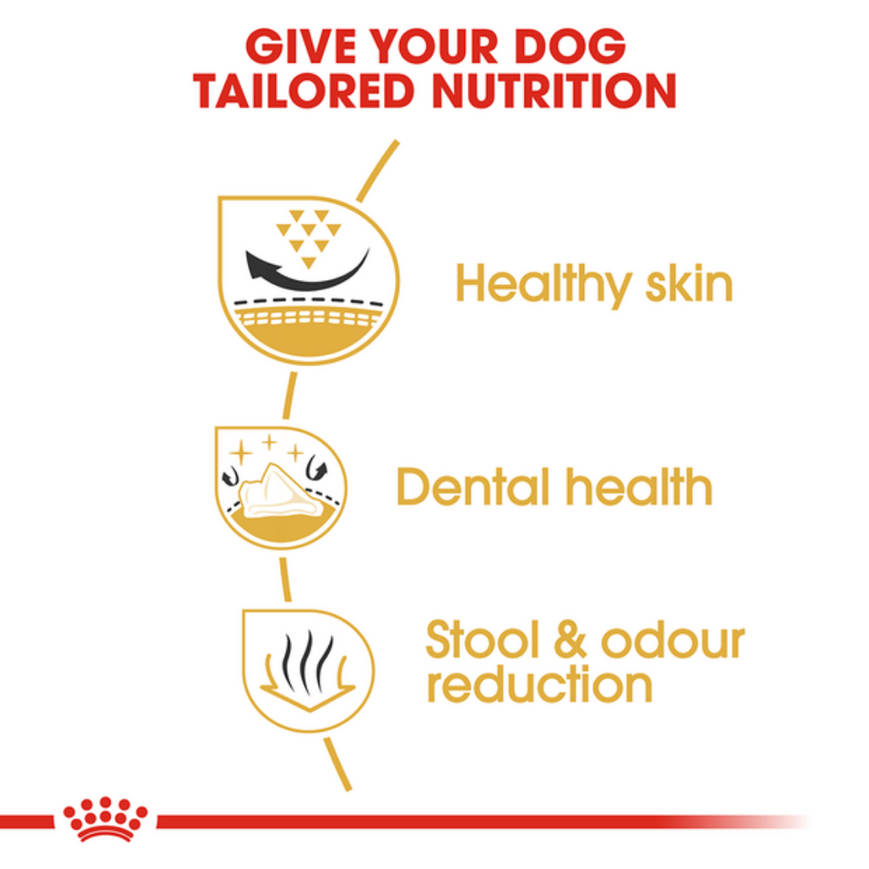Royal Canin Shih Tzu Adult Dog Dry Food image 2