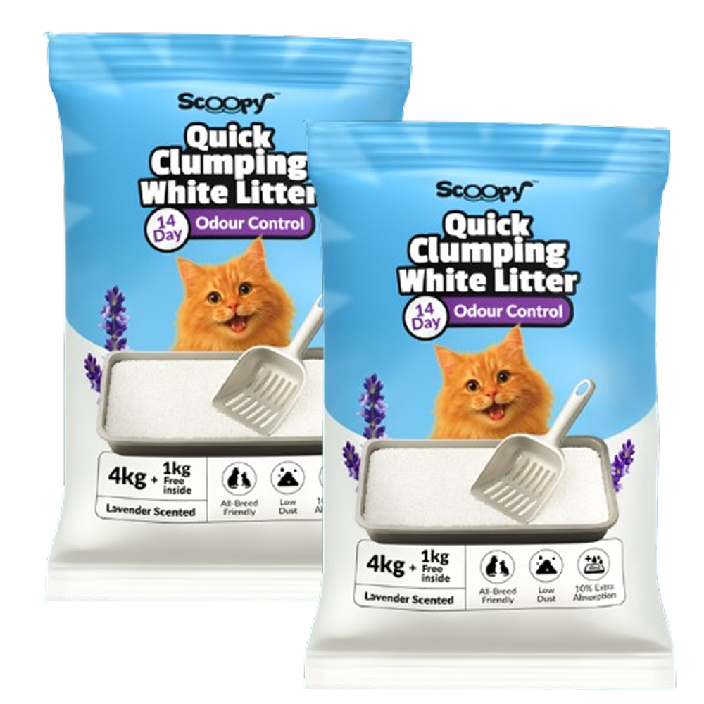 Scoopy Cat Litter | Lavender Scented | Quick Clumping | 100% Natural Bentonite White Sand (Buy 1 Get 1)