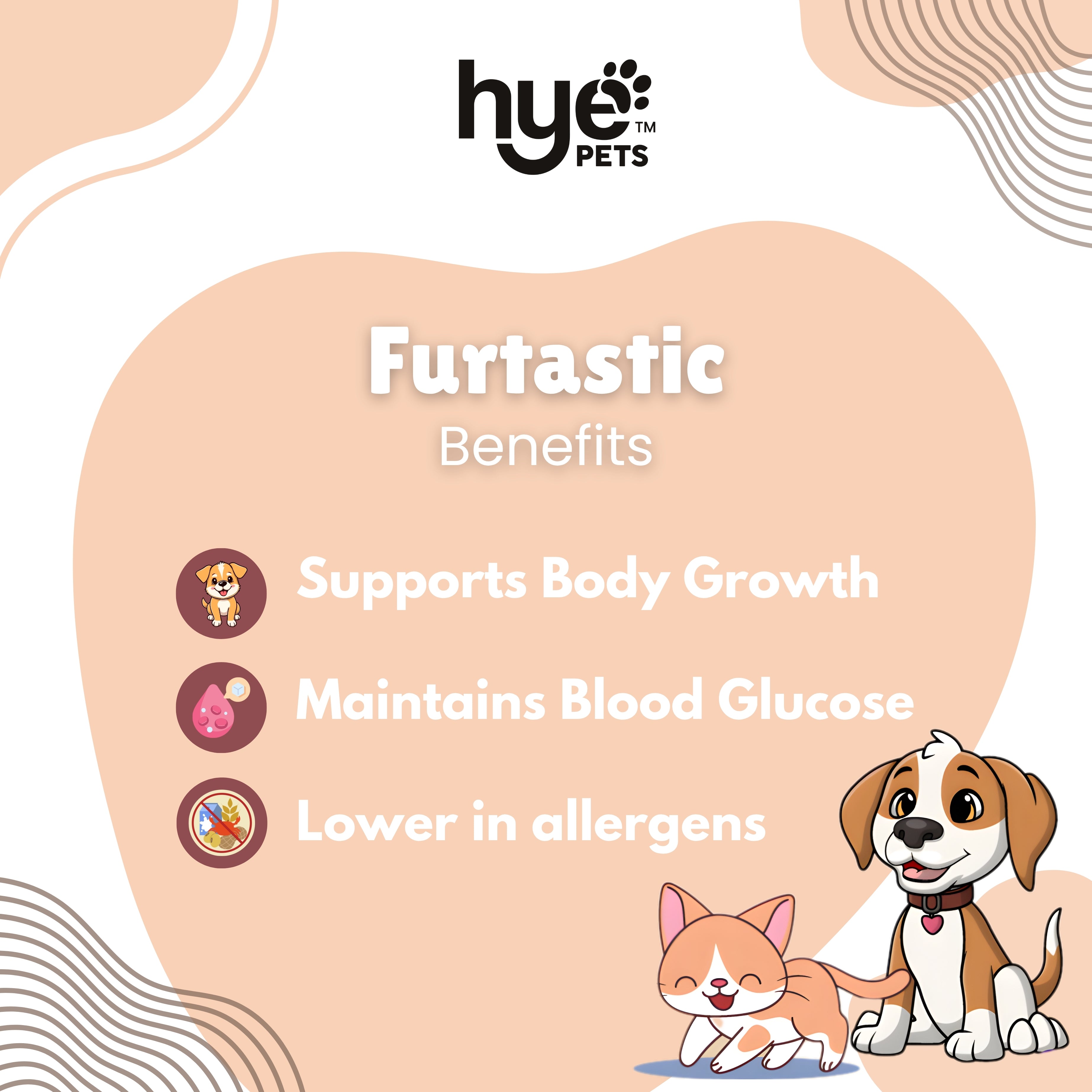 HYE Pets Nutrient Rich Full Fat Camel Milk Powder for Dogs and Cats image 4