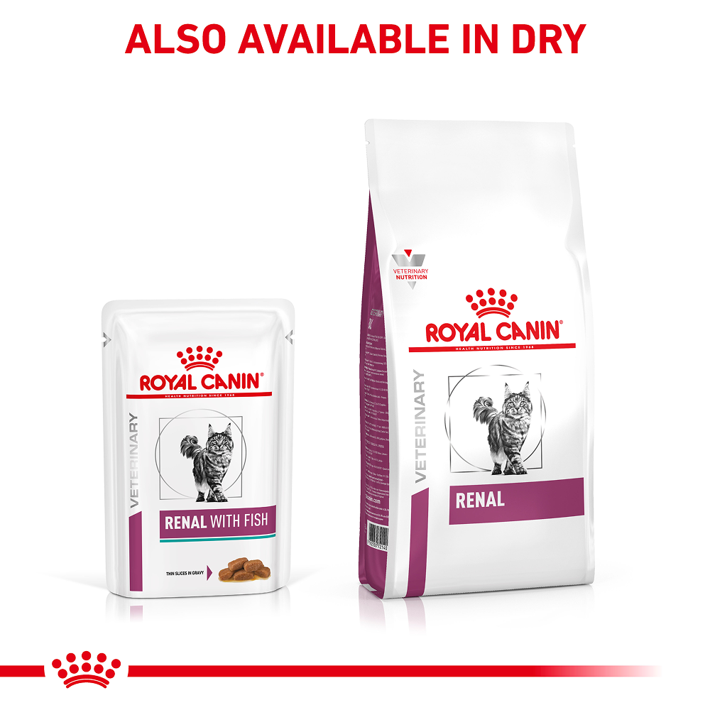 Royal Canin Veterinary Diet Renal Fish Adult Cat Wet Food image 10