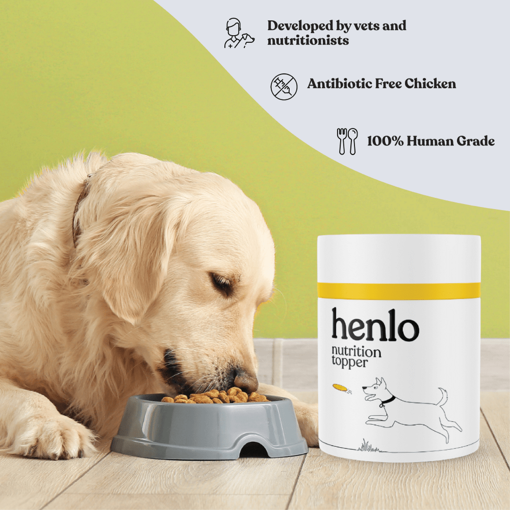 Henlo Everyday Topper for Home Cooked Food | Balanced Nutrition for Dogs image 4