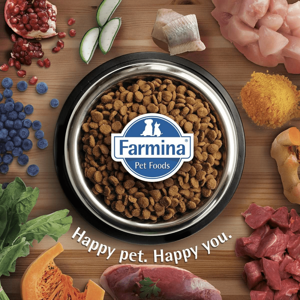 Farmina N&D Ancestral Grain Chicken & Pomegranate Adult Mini Dog Dry Food image 8