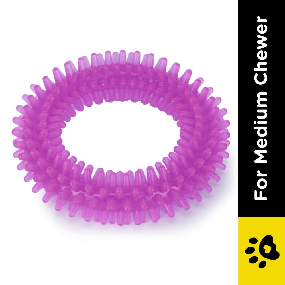Basil Teething Ring Chew Toy for Dogs | For Medium Chewers image 2