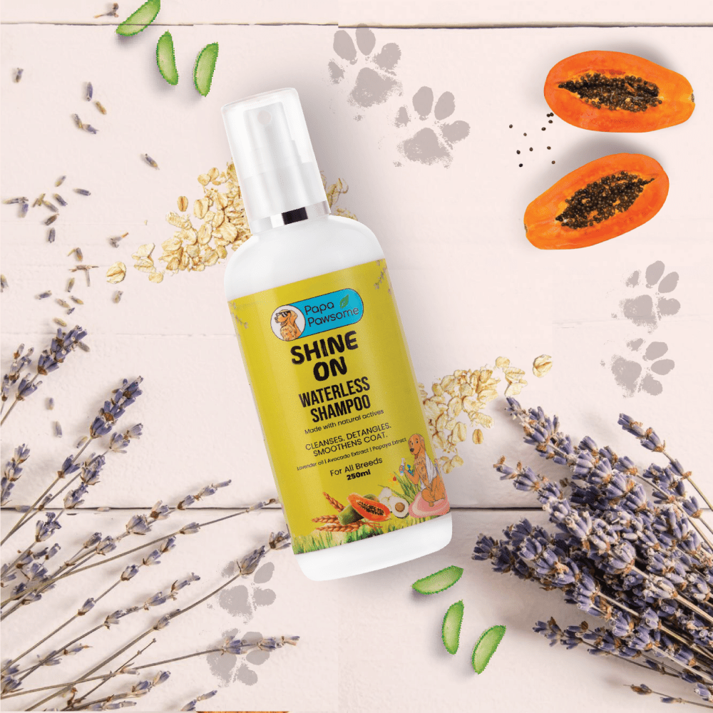 Papa Pawsome Shine On Waterless Shampoo for Dogs image 7