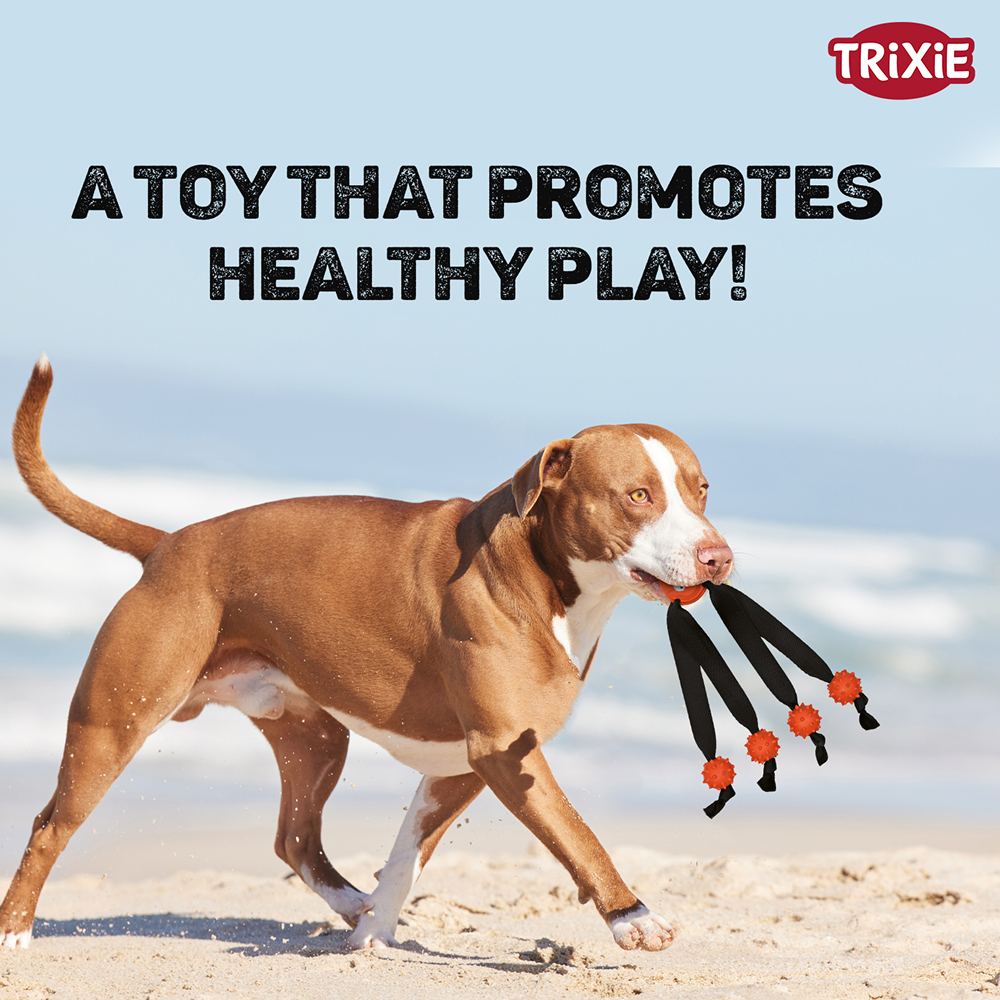 Trixie Ball with Strap Legs for Dogs (Orange) image 4