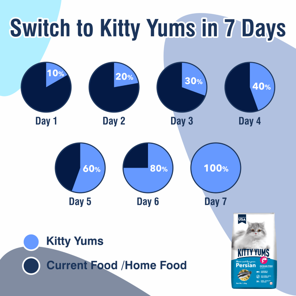 Kitty Yums Ocean Fish Persian Cat Dry Food image 5