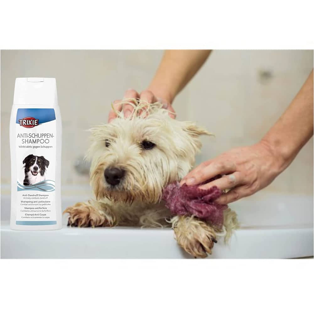 Trixie Anti Dandruff Shampoo for Dogs image 4