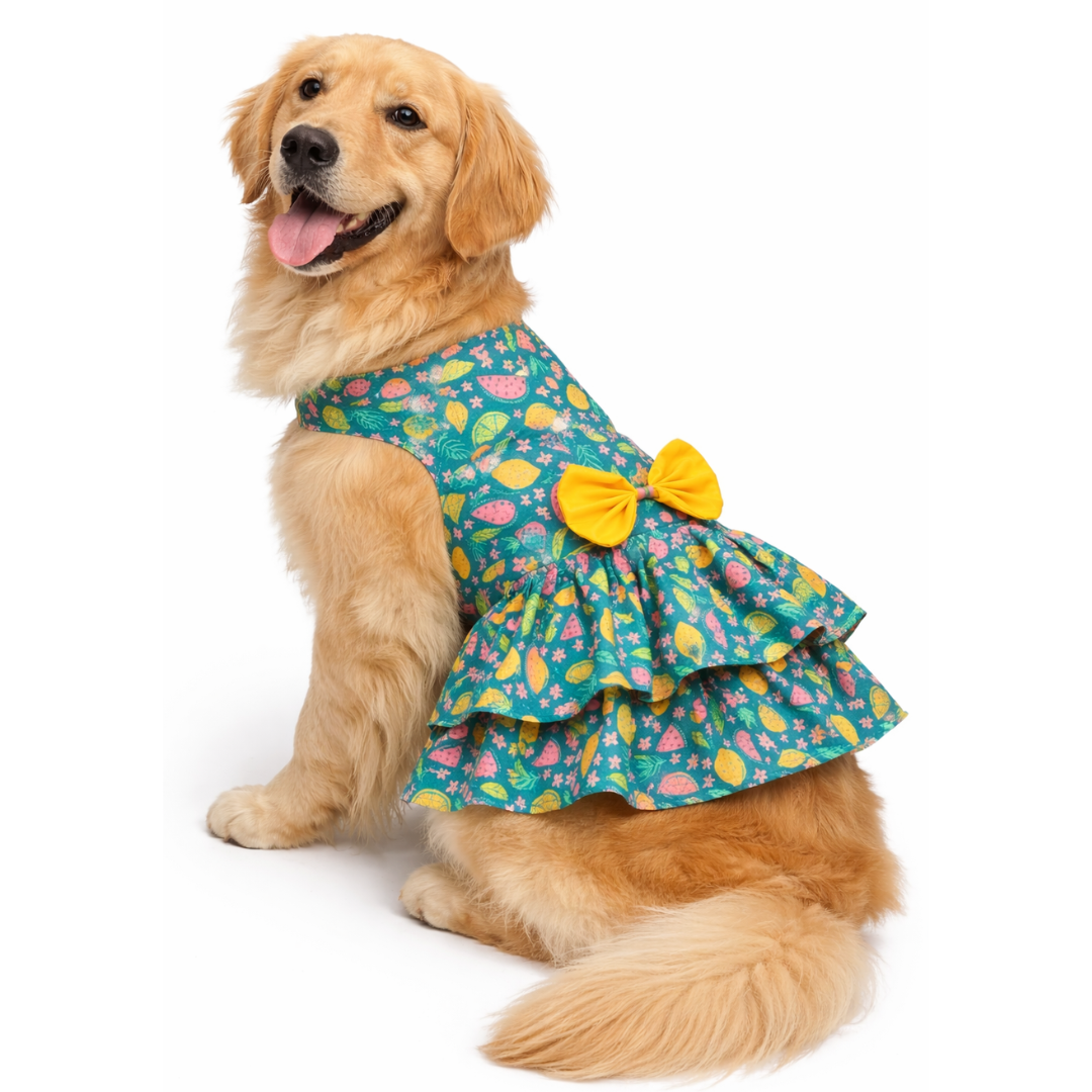 Pawgypets Fruity Casual Dress for Dogs (Green) image 1